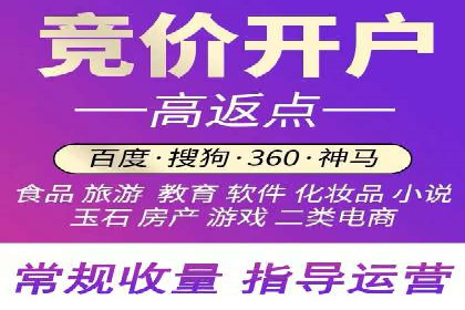 sem竞价托管代运营——广告优化的典范案例